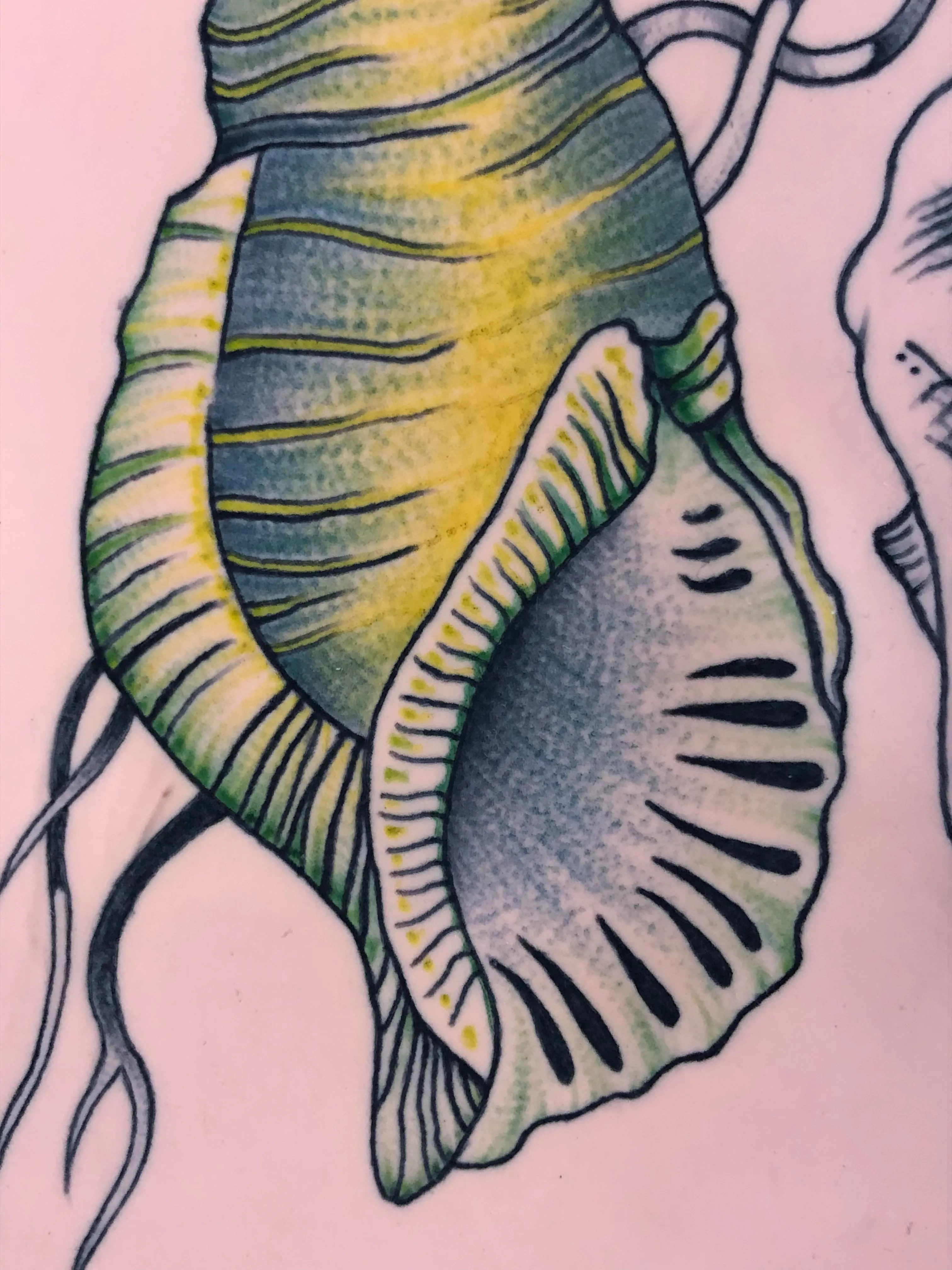 Mountains in the Clouds