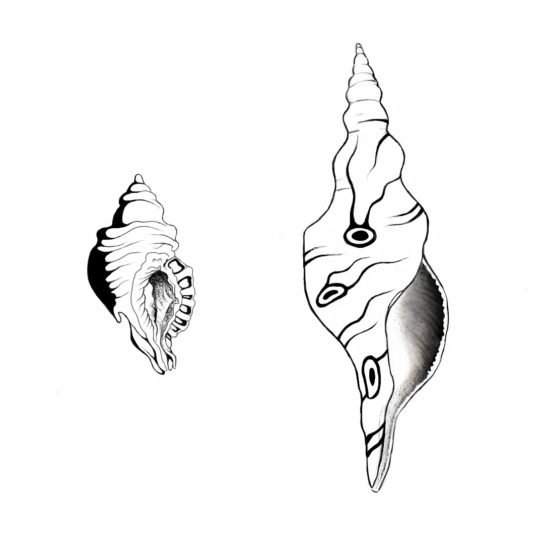 Mountains in the Clouds