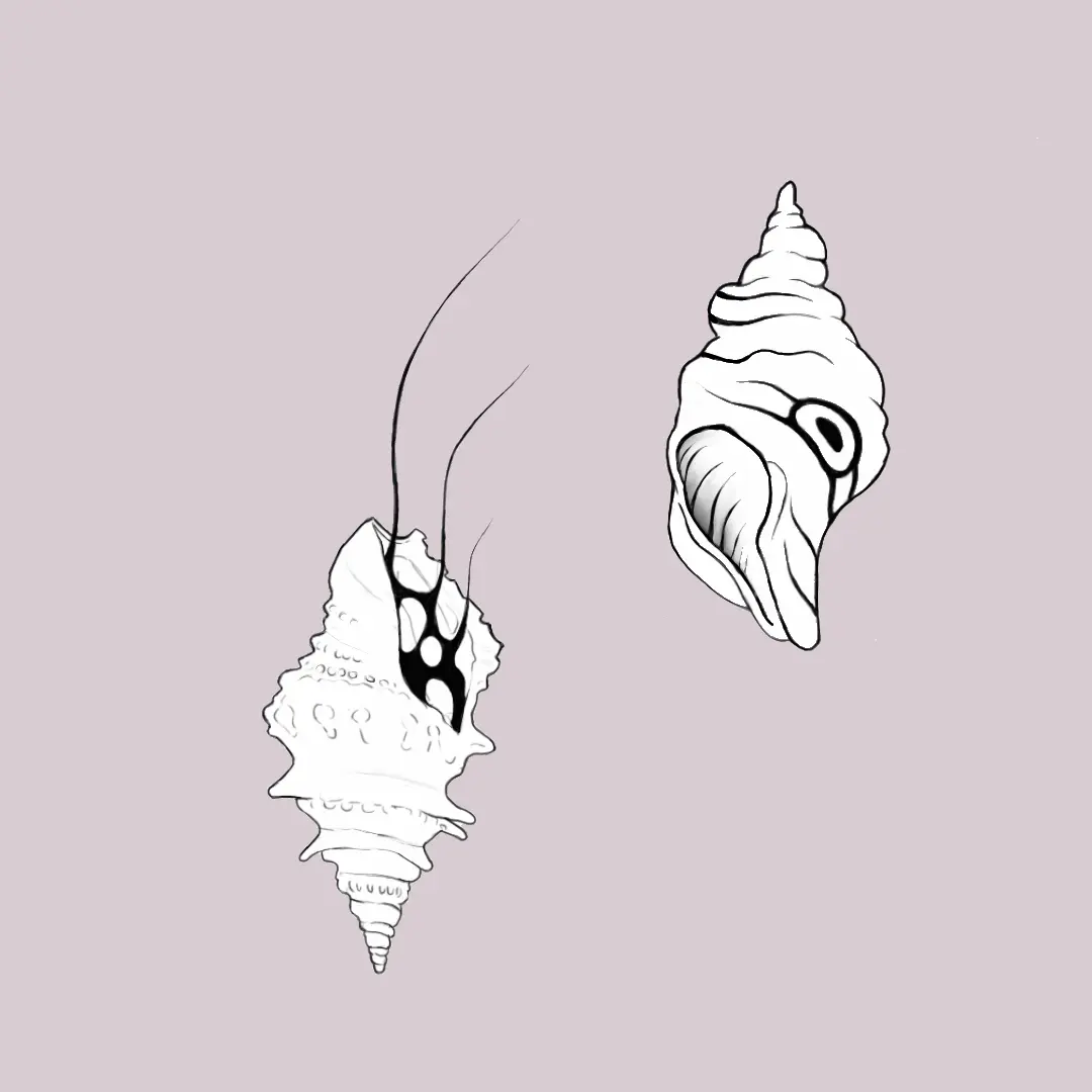 Mountains in the Clouds