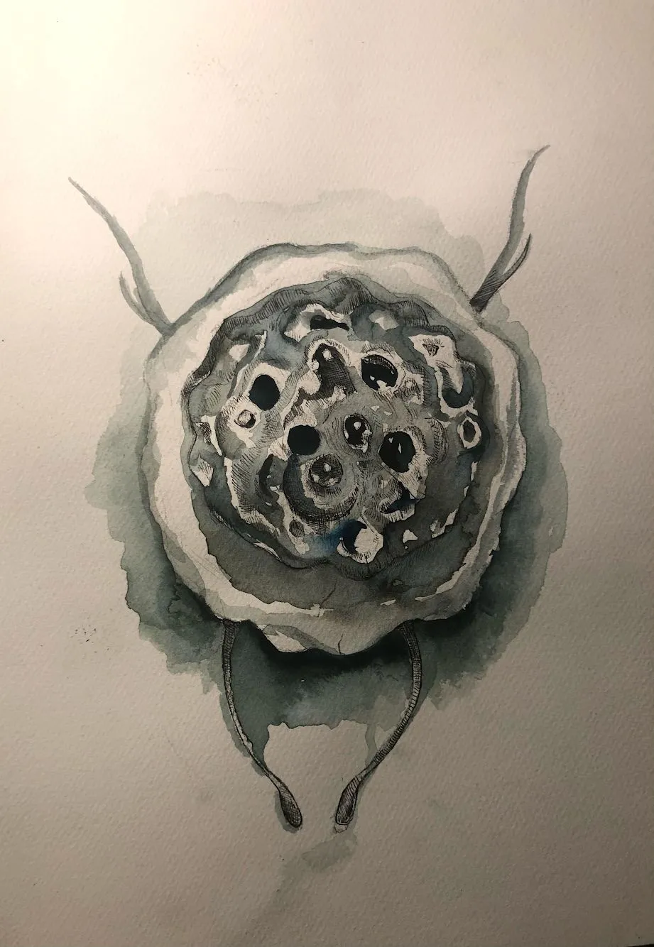 Mountains in the Clouds