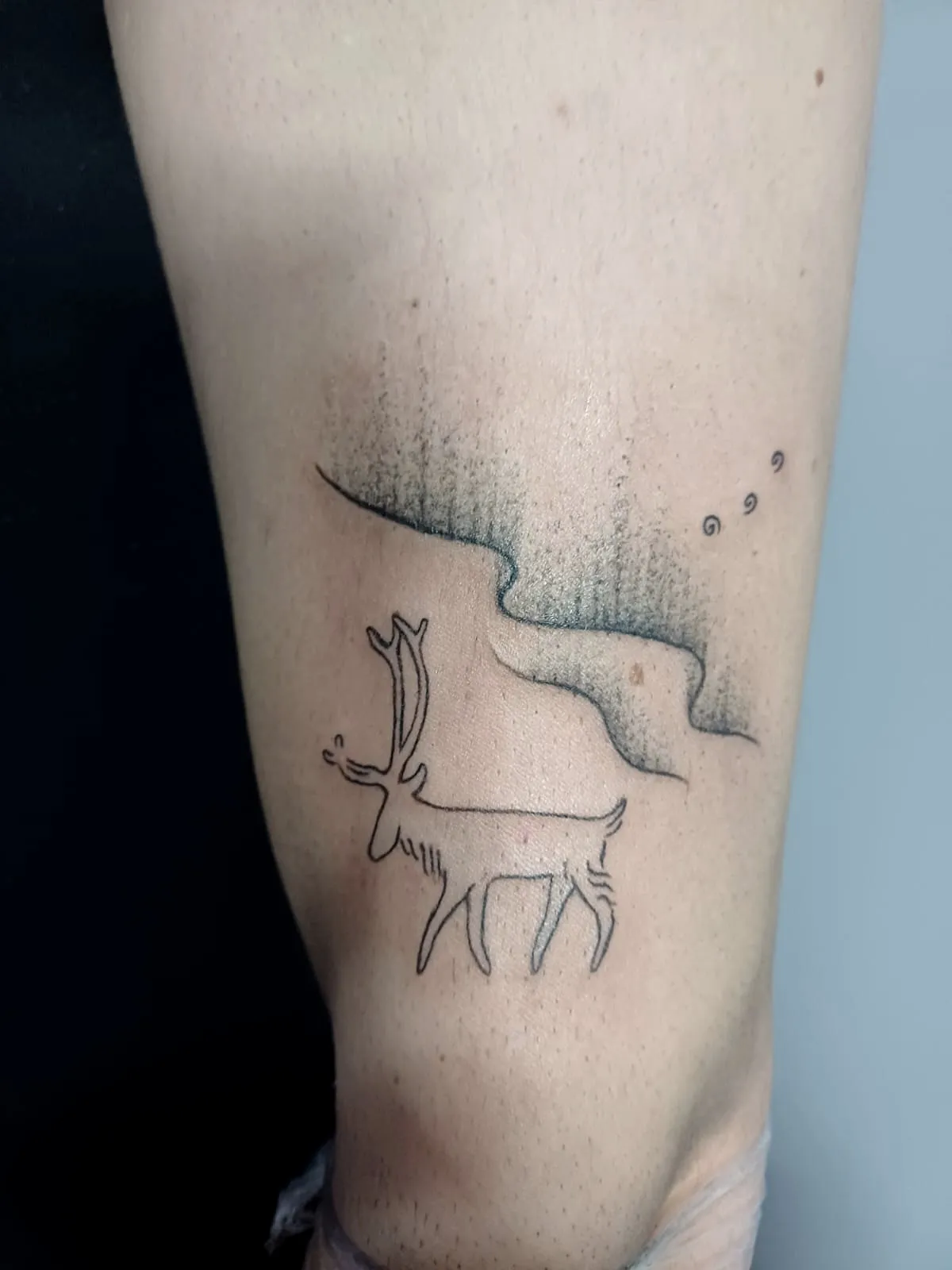 Mountains in the Clouds