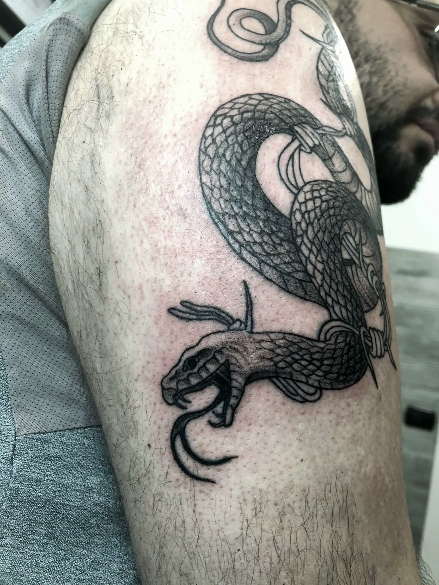 Mountains in the Clouds